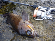 ���o���p���^���W�O