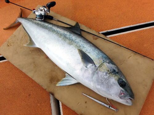 Anglers Gallery 懐かしの写真