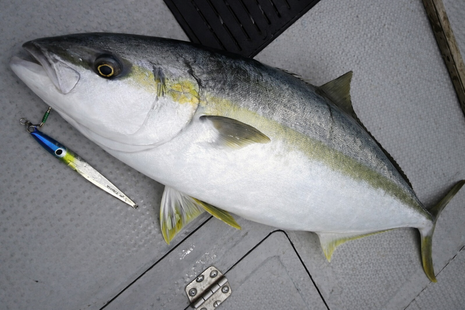 アスナロⅣ メイン画像